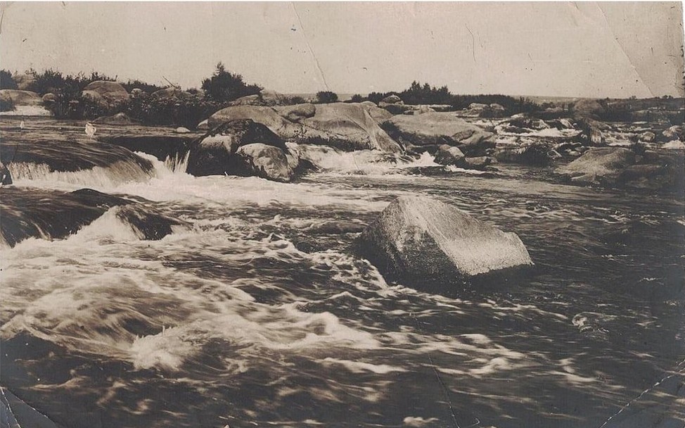 Nenasytets Rapid